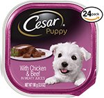 Cesar Puppy Wet Dog Food – 24 Trays