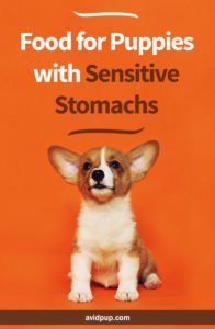 Best Food for Puppies with Sensitive Stomachs (limited ingredient options)