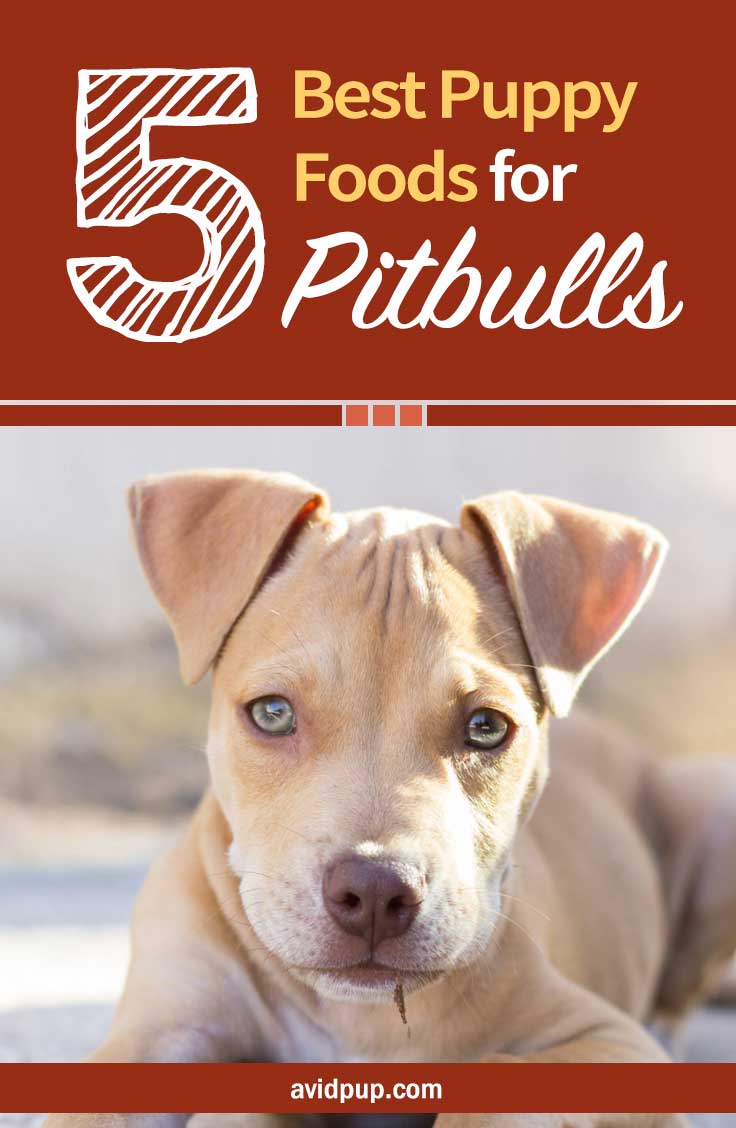 Best Dog Food For Pitbulls With Sensitive Skin at Michael Fernandez blog