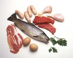 primary protein sources, good fats for dog food