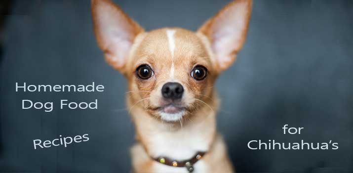 Homemade dog food recipes for Chihuahua's