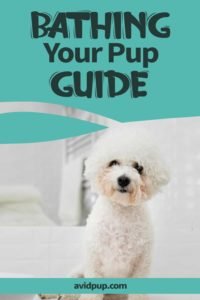 Puppy’s First Bath: Step by Step Guide to Bathing Your Pup