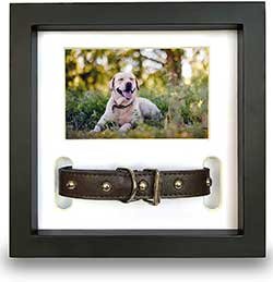 Pawceptive Pet Memorial Picture Frame with 3 Display Options for Dog or Cat Loss - Collar Mount, Memory Hanger or Loving Remembrance Message - Sympathy Keepsake Photo Gift for a Grieving Owner