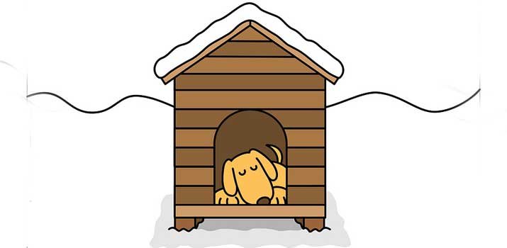 dog lying comfortably in a heated dog house