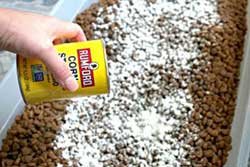 Use Cornstarch to Remove Existing Ants