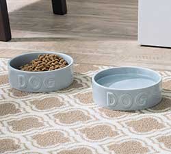 2 food dog bowls