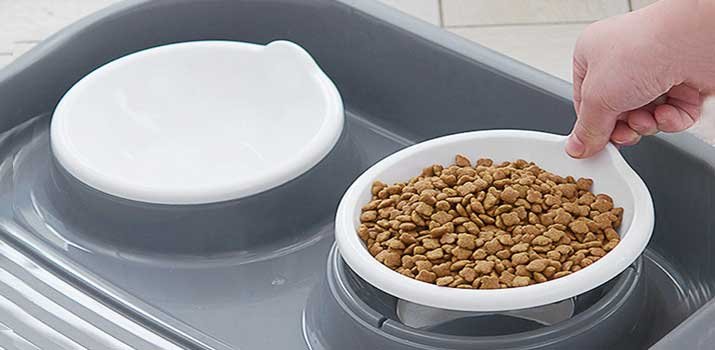 Pound of dry dog food to be divided in cups