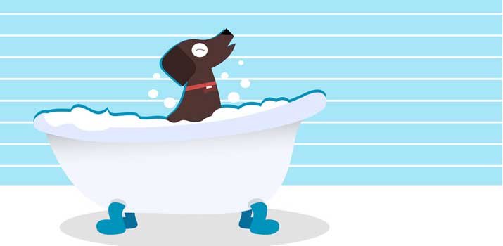 Dog sitting in bath tub 